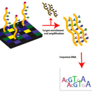 Clinical Whole-exome Sequencing (WES) | RMI